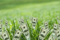 economia-verde-billetes
